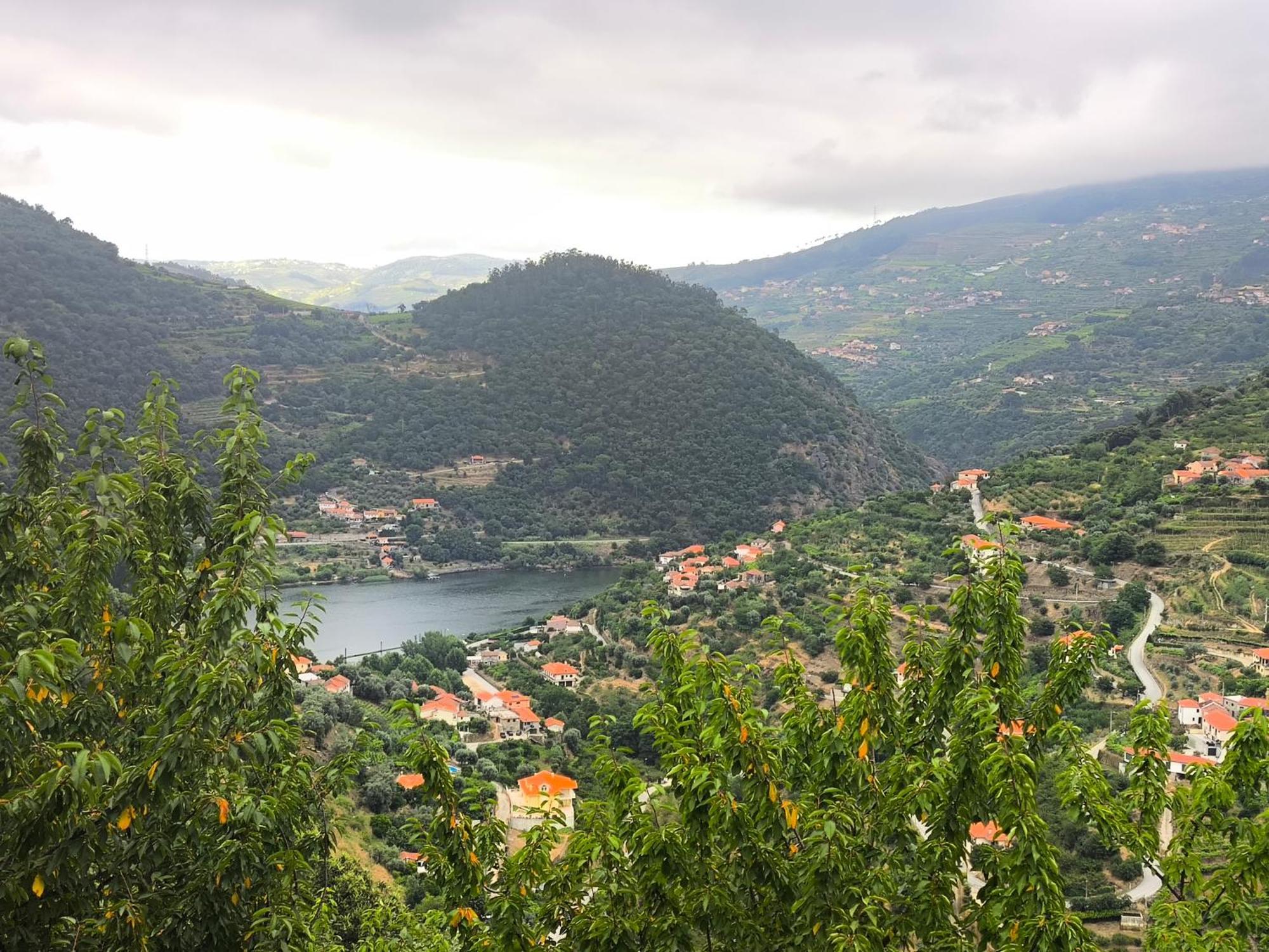 Farm stay Quinta Do Tojo