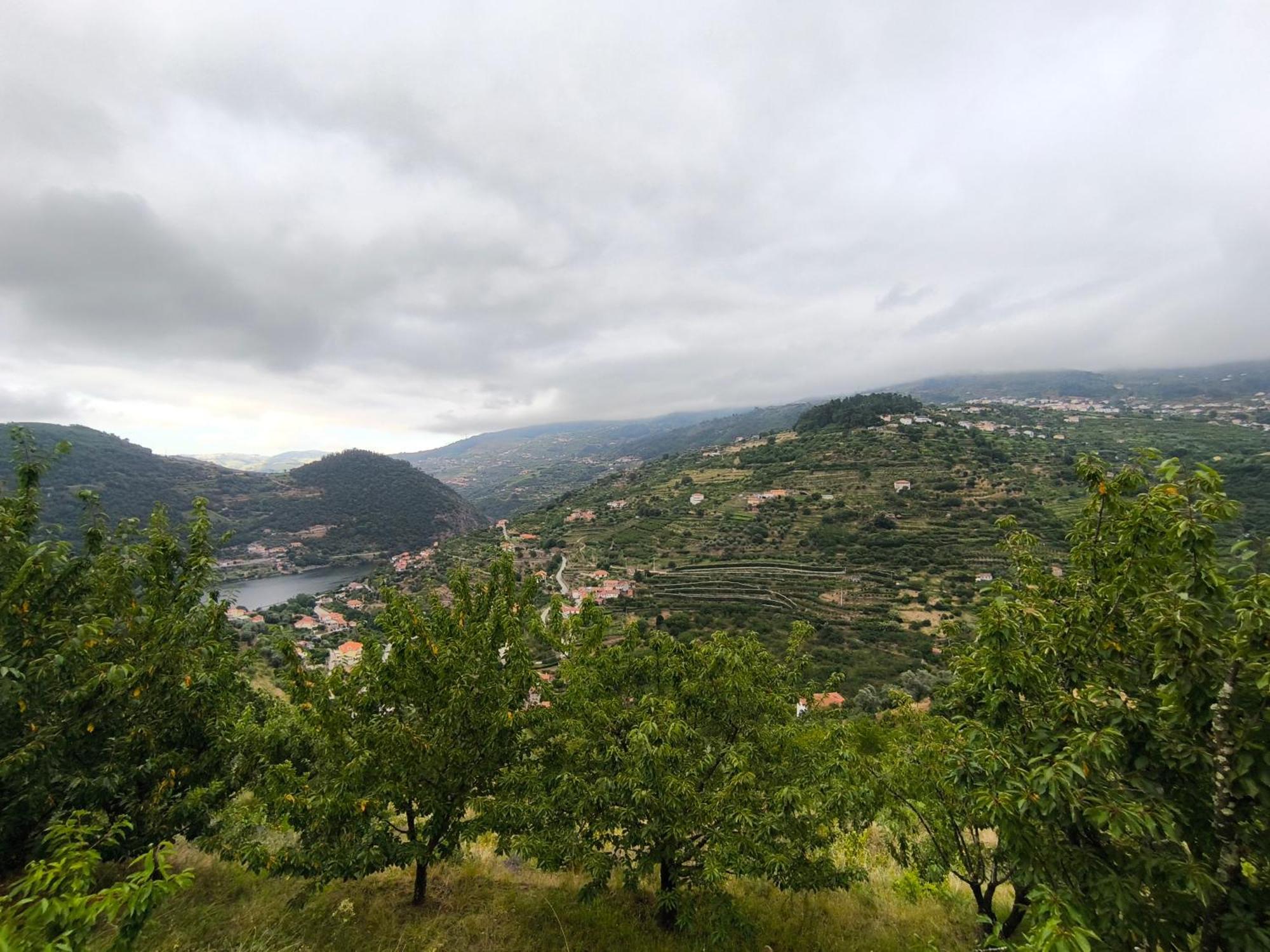Farm stay Quinta Do Tojo