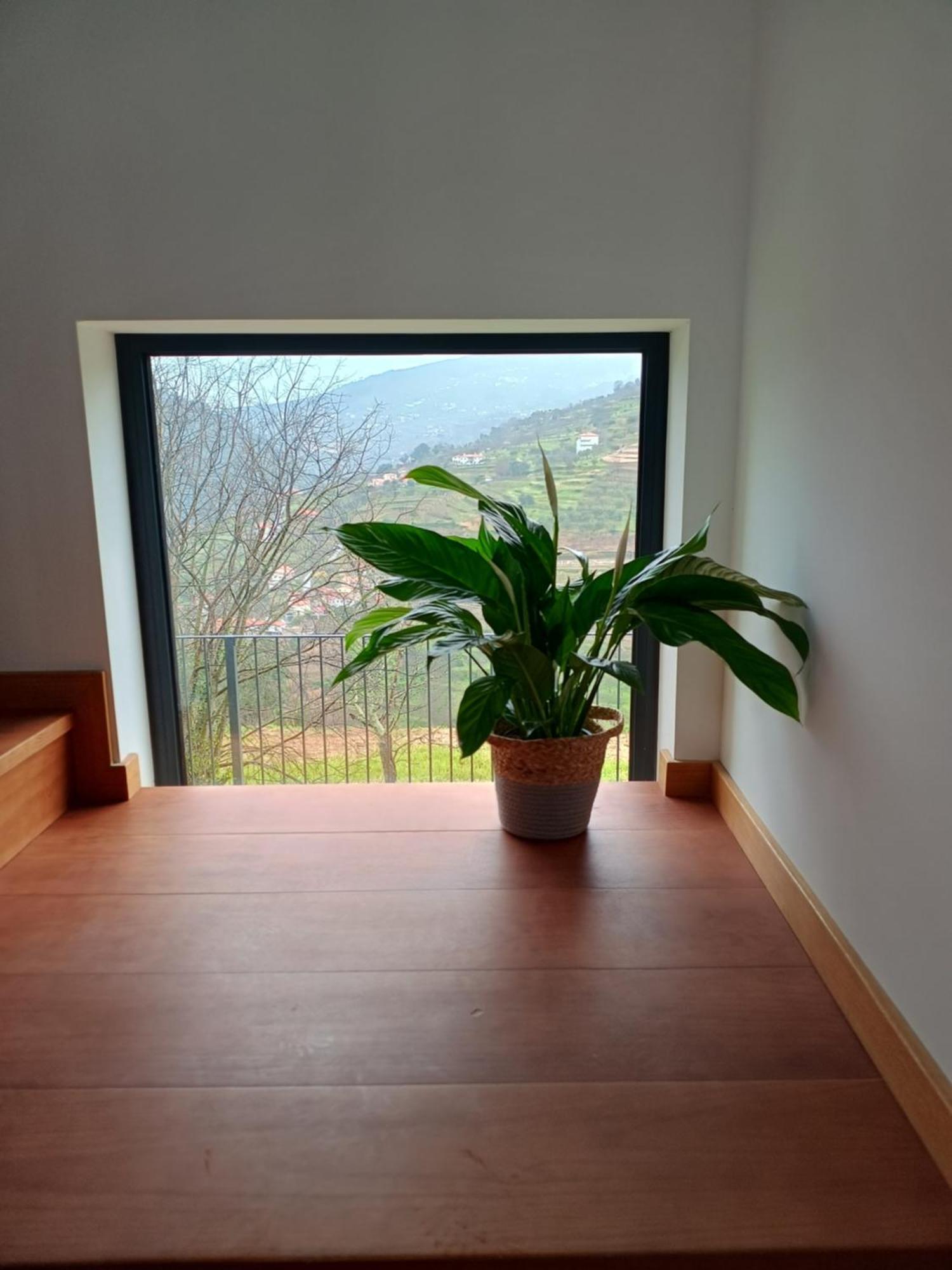 Quinta Do Tojo Farm stay